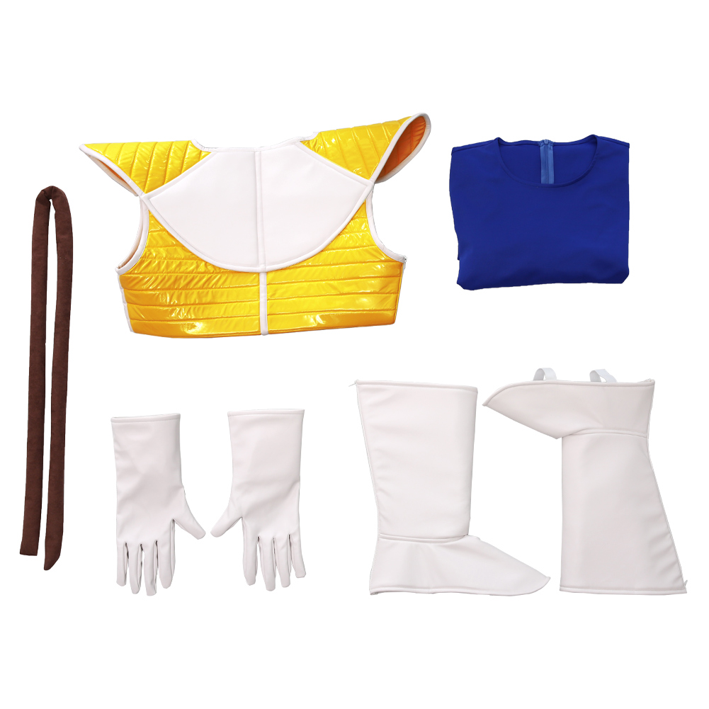 Adult Z Anime Fantasy Vegeta C - Dragon Ball Saiyan Armor 评论和价格